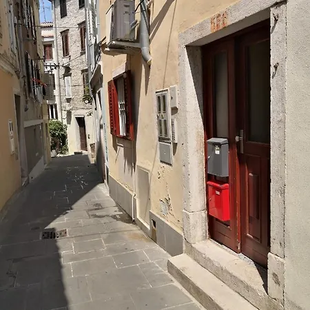 Appartement Carmen *