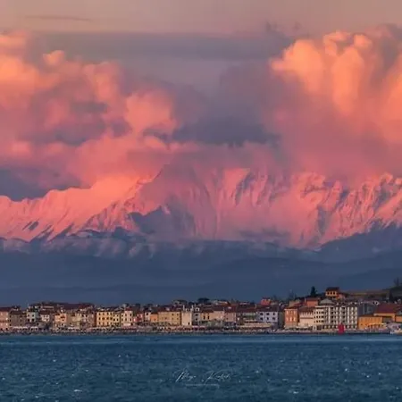 Carmen * Piran