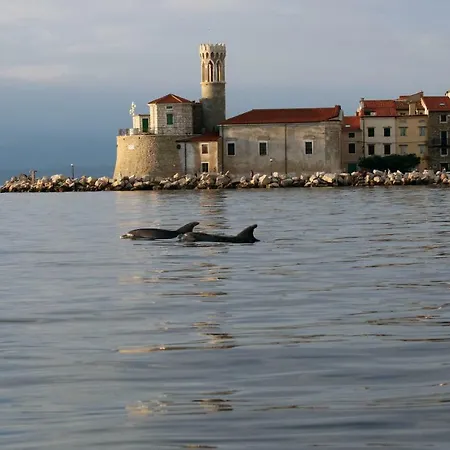 Carmen * Piran