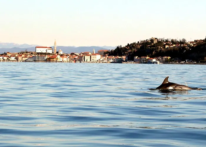 Carmen アパート *