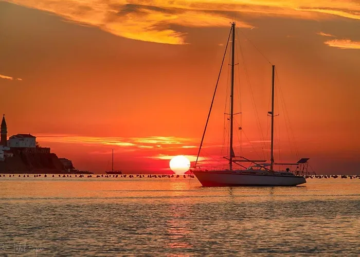 Apartment Carmen Piran