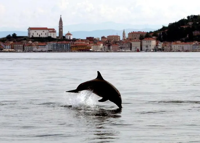 Apartment Carmen Piran