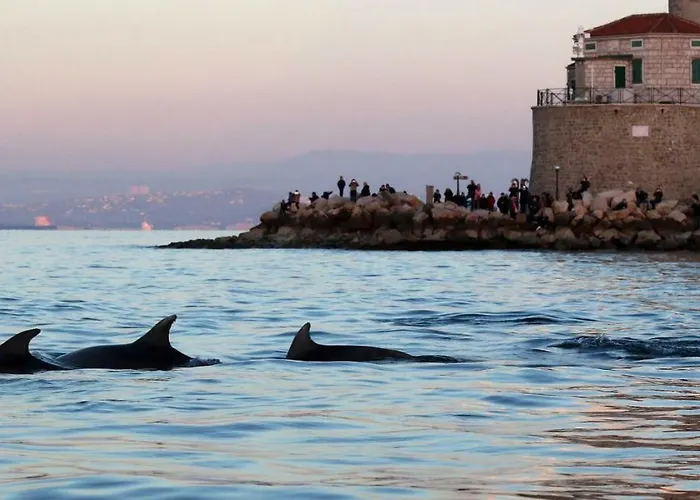 Carmen アパート *